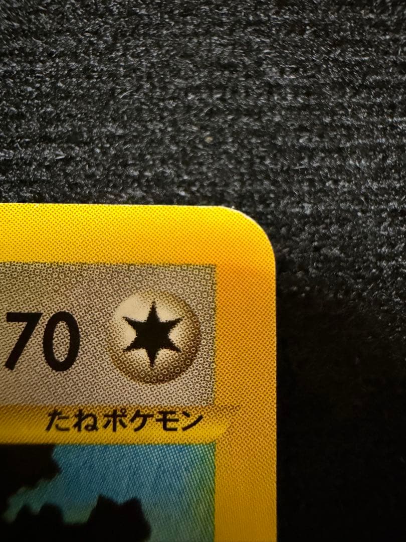 ポケモンカード eシリーズ VS ワタルのカイリュー &イブキのカイリュー