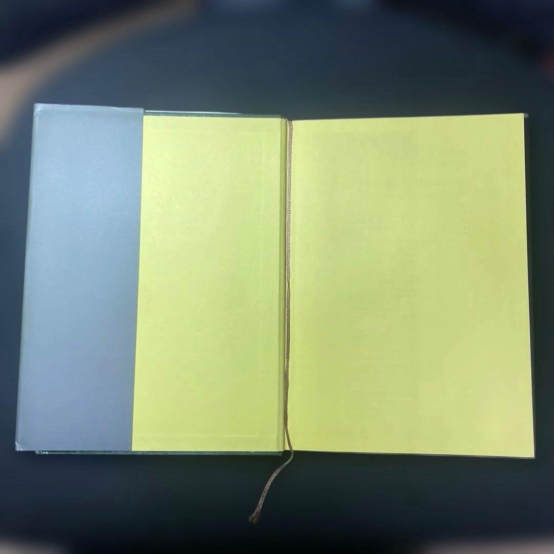 ティランジア・ハンドブック 改訂版 清水秀男 滝沢弘之 カバー付