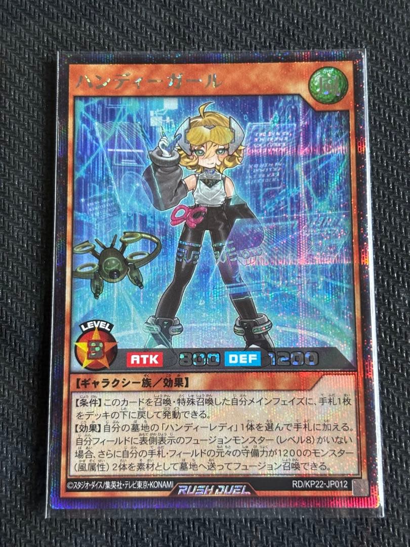 ハンディーガール ハンディーパートナーズ