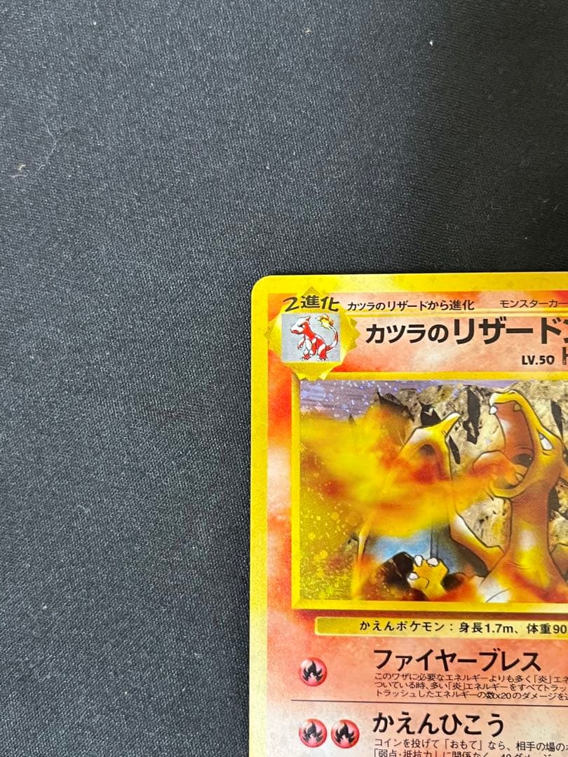 中*迎様 カツラのリザードン