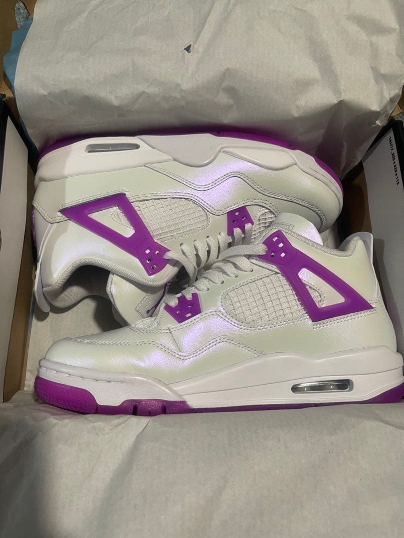 AIR JORDAN 4 RETRO ジュニア 25cm