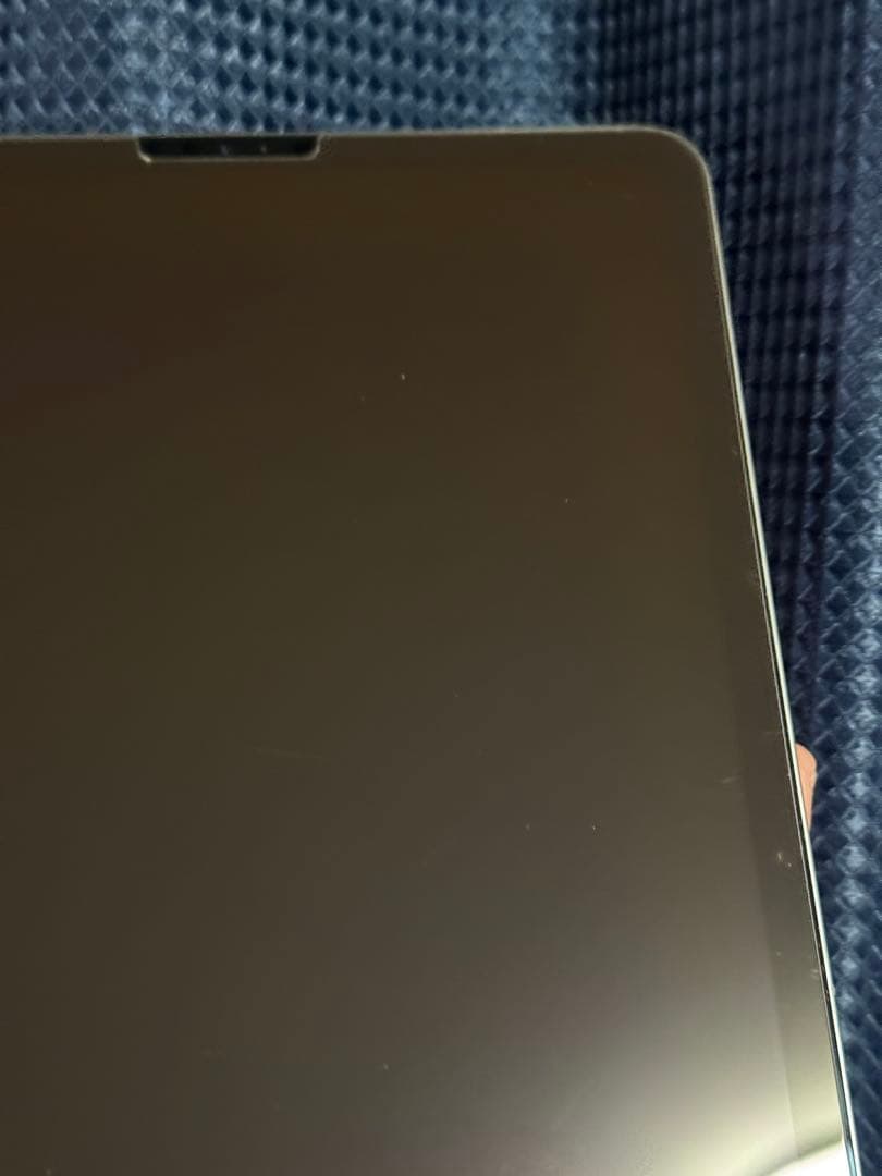 【ジャンク】iPad Pro11インチ 第1世代 256GB