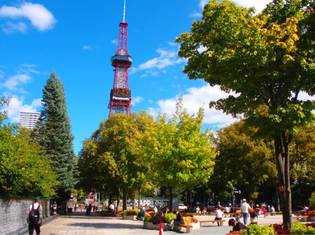 ELSONIC 光学６倍ズームコンパクトデジタルカメラ EZCDC6