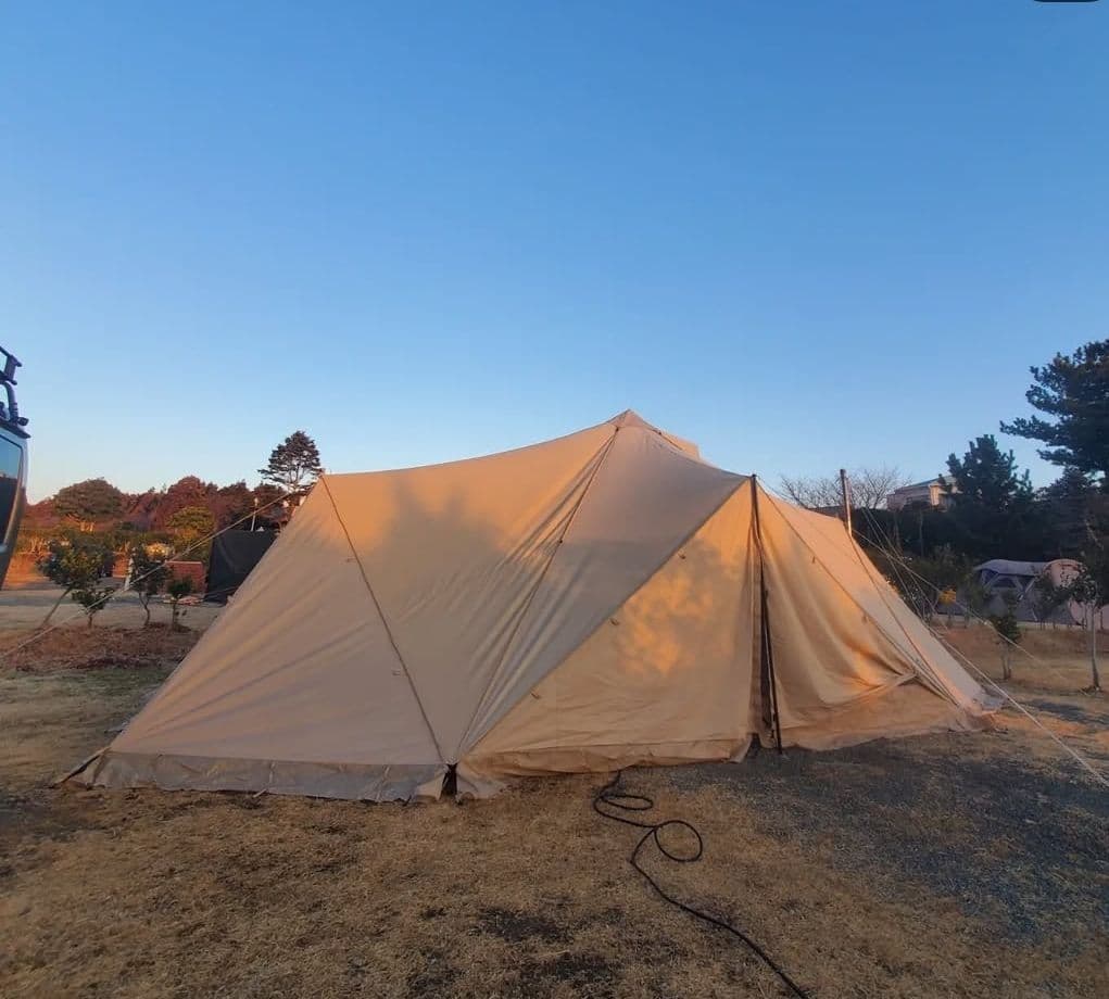 鰯 サバティカル スカイパイロットtc