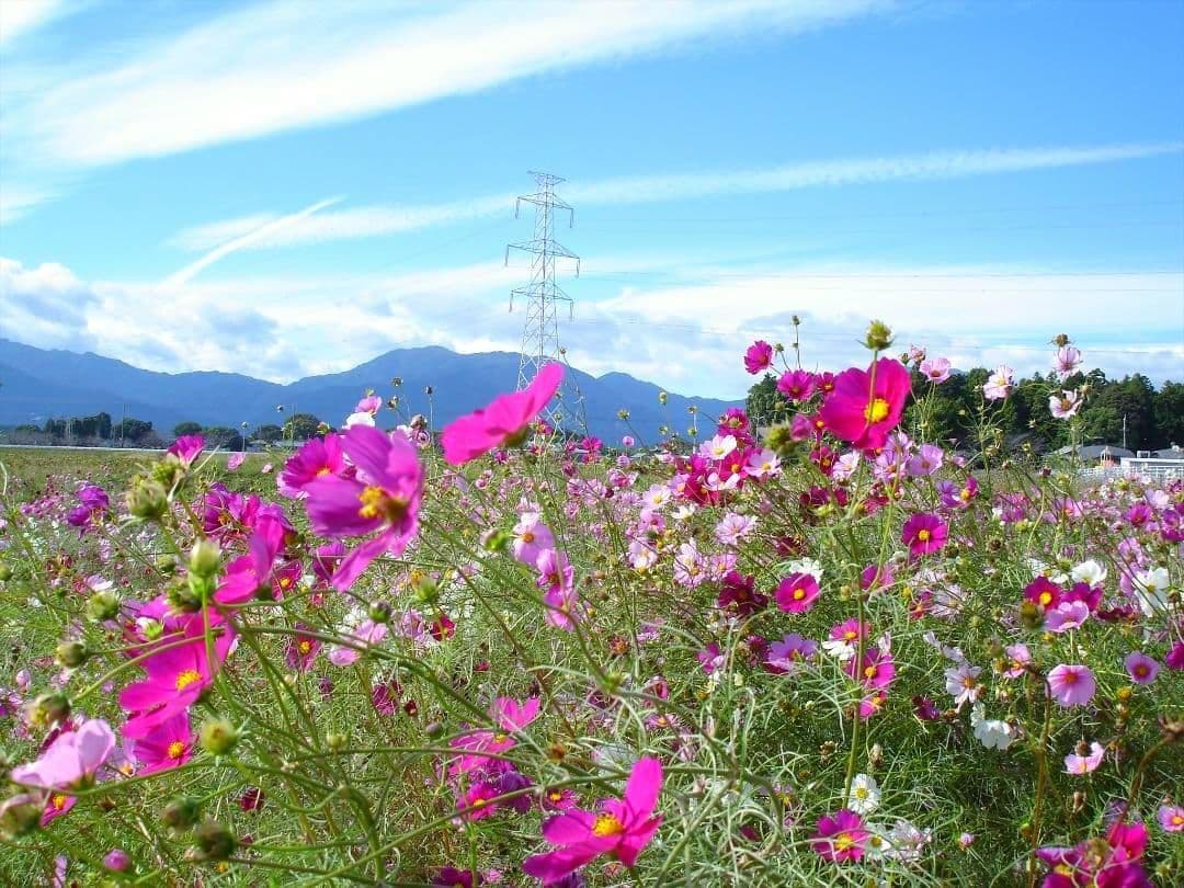 Sony サイバーショット　DSC-W7