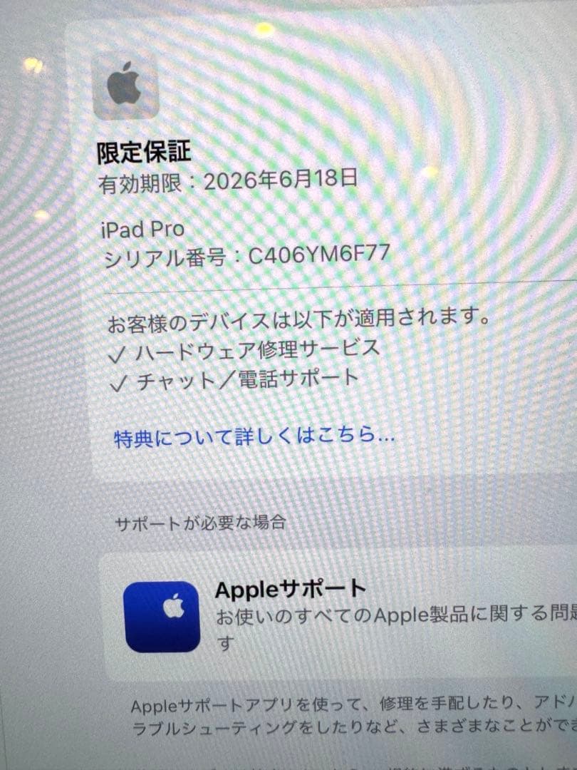 【iPadOS 26】M4 iPad Pro 11 1TB Cellular