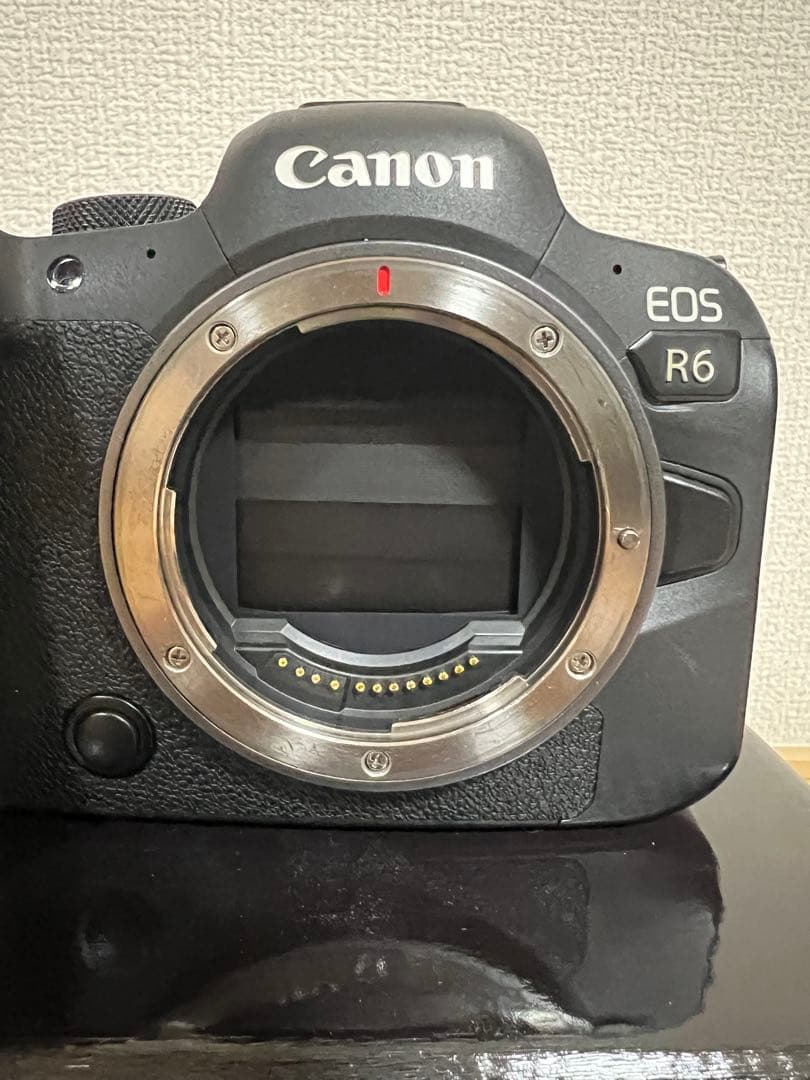 Canon EOS R6 本体