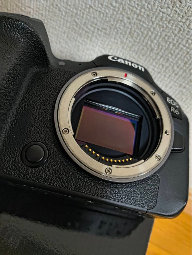Canon EOS R6 本体