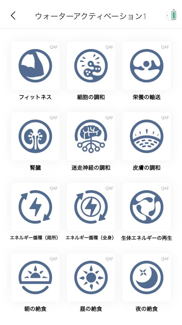 マグヒーリー maghealy