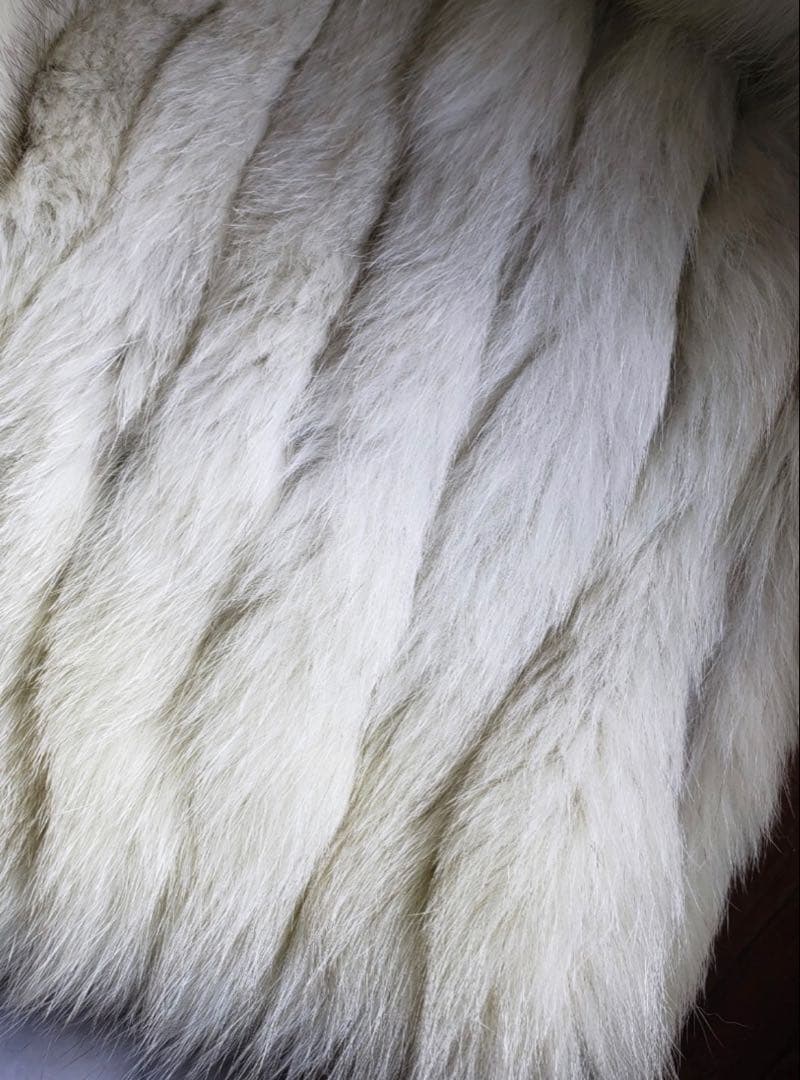 290万　高級　綺麗　SAGA サガ　フォックス　 本毛皮　コート