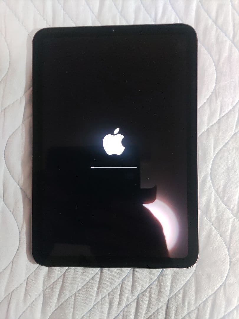 iPad mini6 第6世代 Wi-Fiモデル 256GB 美品 即購入可