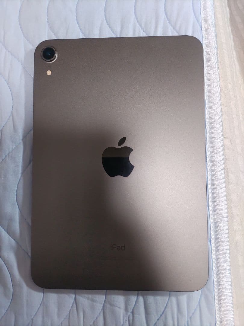 iPad mini6 第6世代 Wi-Fiモデル 256GB 美品 即購入可