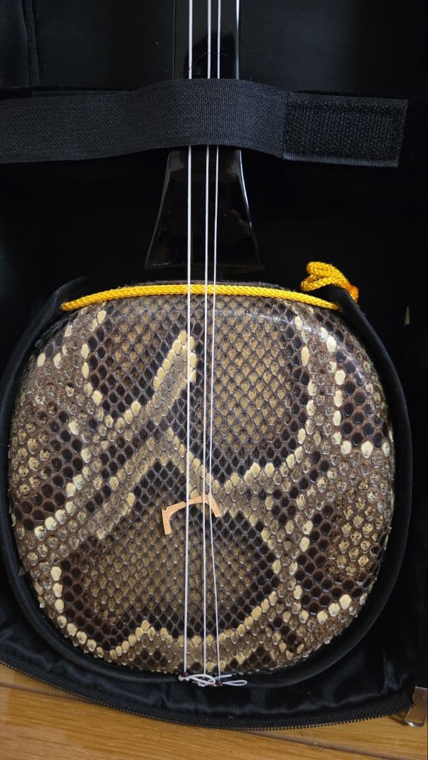 三線セット ヘビ皮 ケース付き