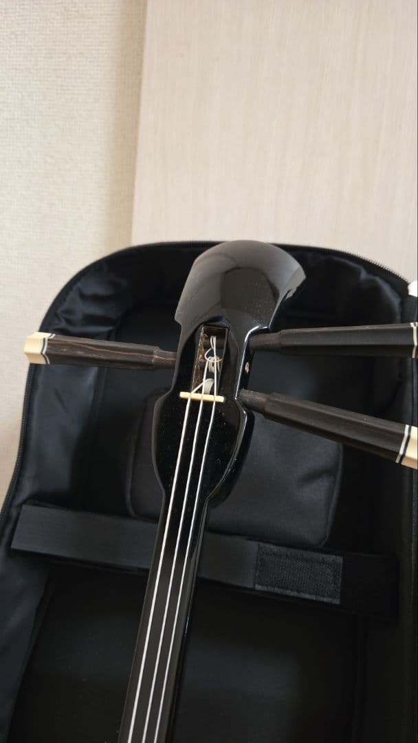 三線セット ヘビ皮 ケース付き