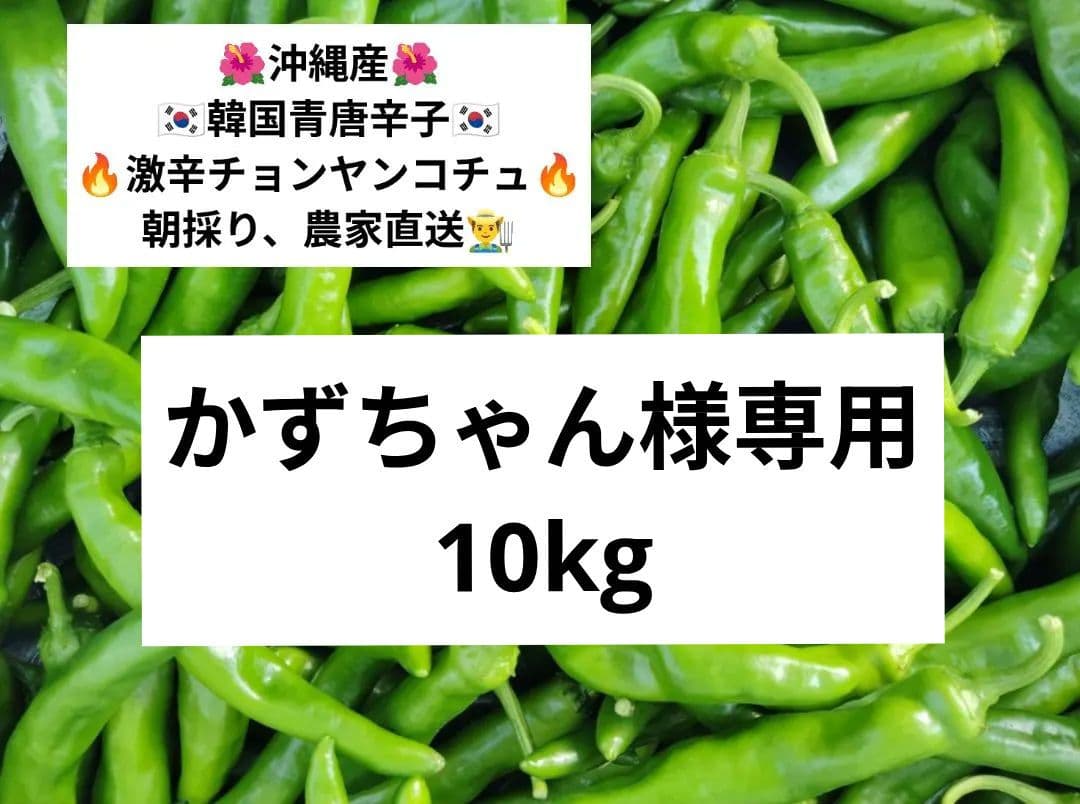 かずちゃん☆韓国青唐辛子☆激辛チョンヤンコチュ☆10kg☆農家直送