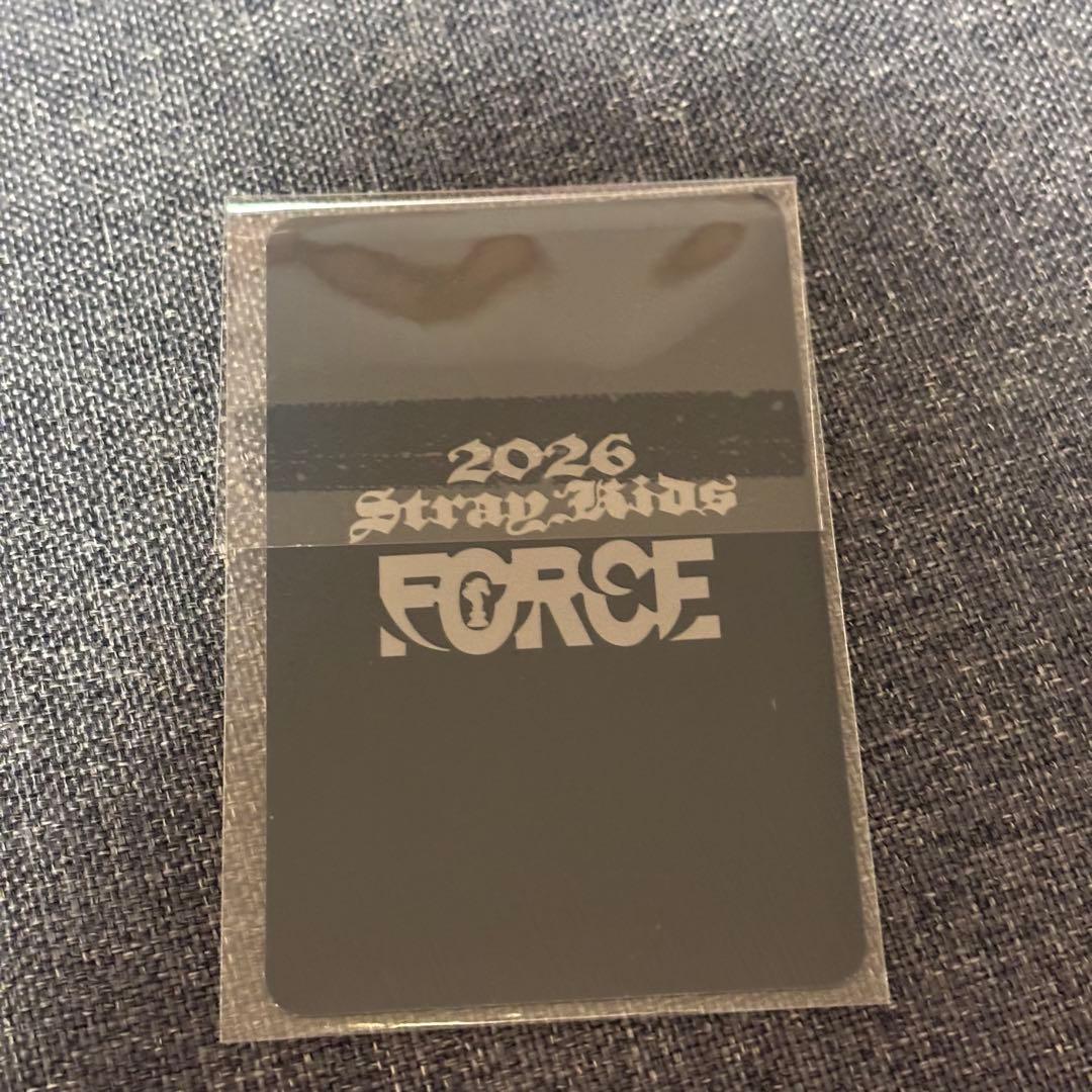 StrayKids シーグリ FORCE 特典 ユニットトレカ 味噌