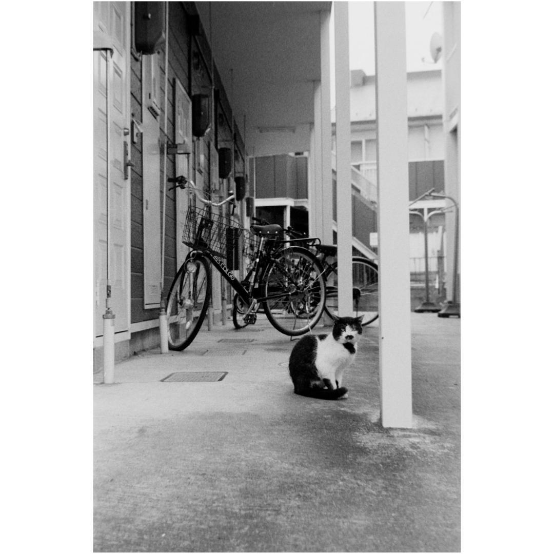 千代田光学 Super Rokkor 5cm f/1.8 (Lマウントレンズ)