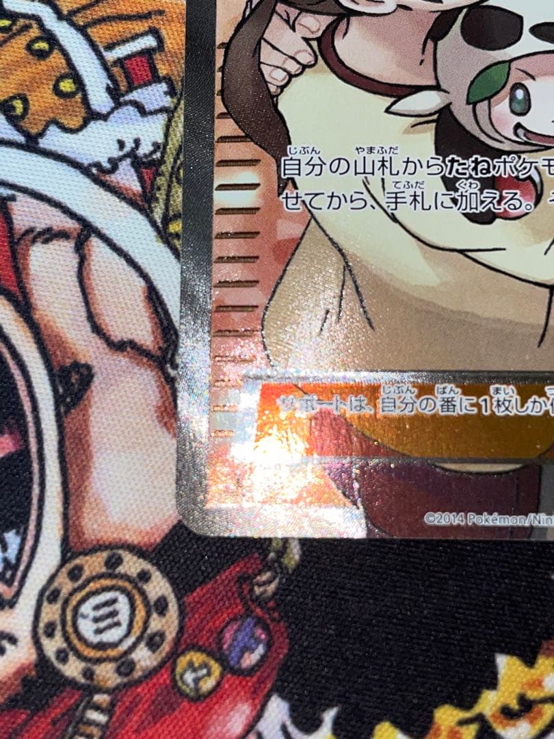 ポケモンだいすきクラブ SR XY2 ワイルドブレイズ 087/080