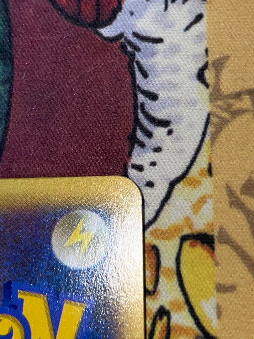 ポケモンだいすきクラブ SR XY2 ワイルドブレイズ 087/080