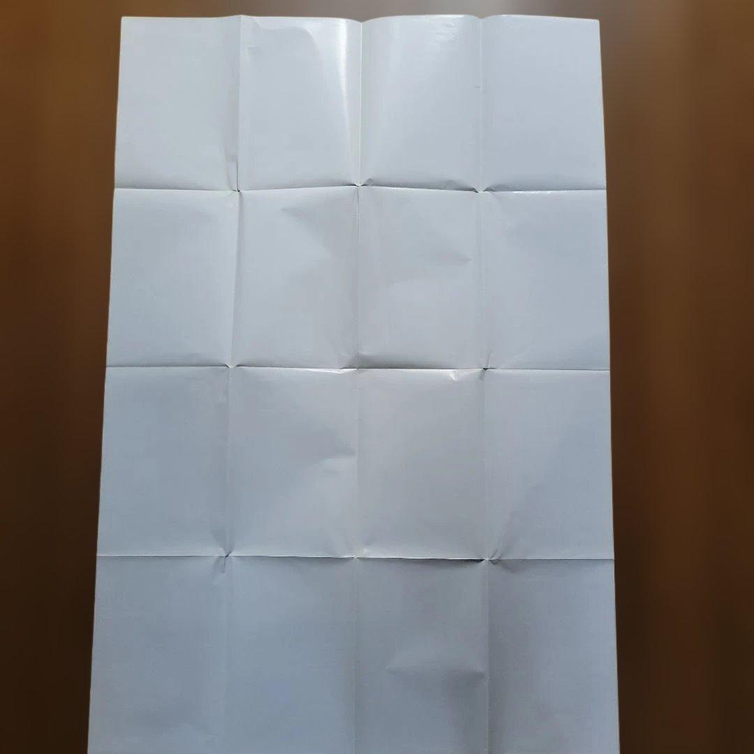 当時物 レア 希少 コロコロコミック 付録 ポケモンカード ポスター 2点 海外