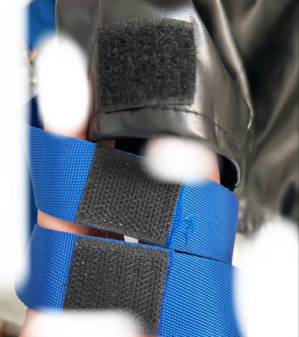 ソフィア・ヴァレンタイン コスプレ衣装 ウィッグ にじさんじ