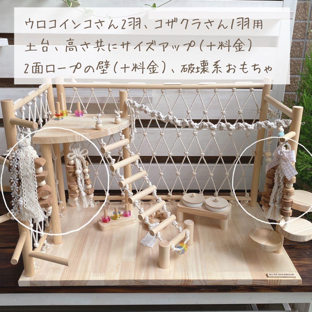 ことりのおおきなあそびば　インコ　バードジム　バードアスレチック　ブランコ