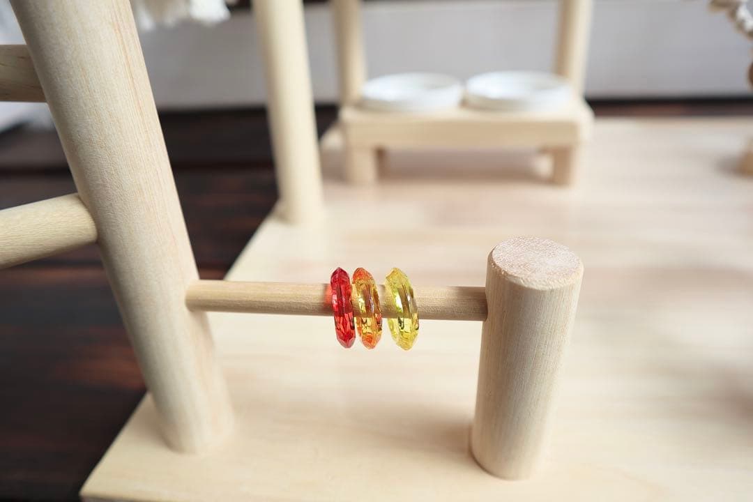 ことりのおおきなあそびば　インコ　バードジム　バードアスレチック　ブランコ