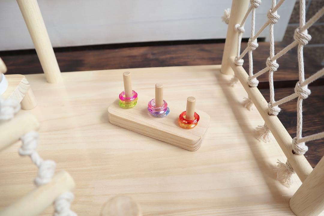 ことりのおおきなあそびば　インコ　バードジム　バードアスレチック　ブランコ