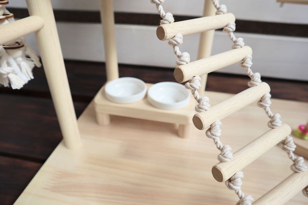 ことりのおおきなあそびば　インコ　バードジム　バードアスレチック　ブランコ