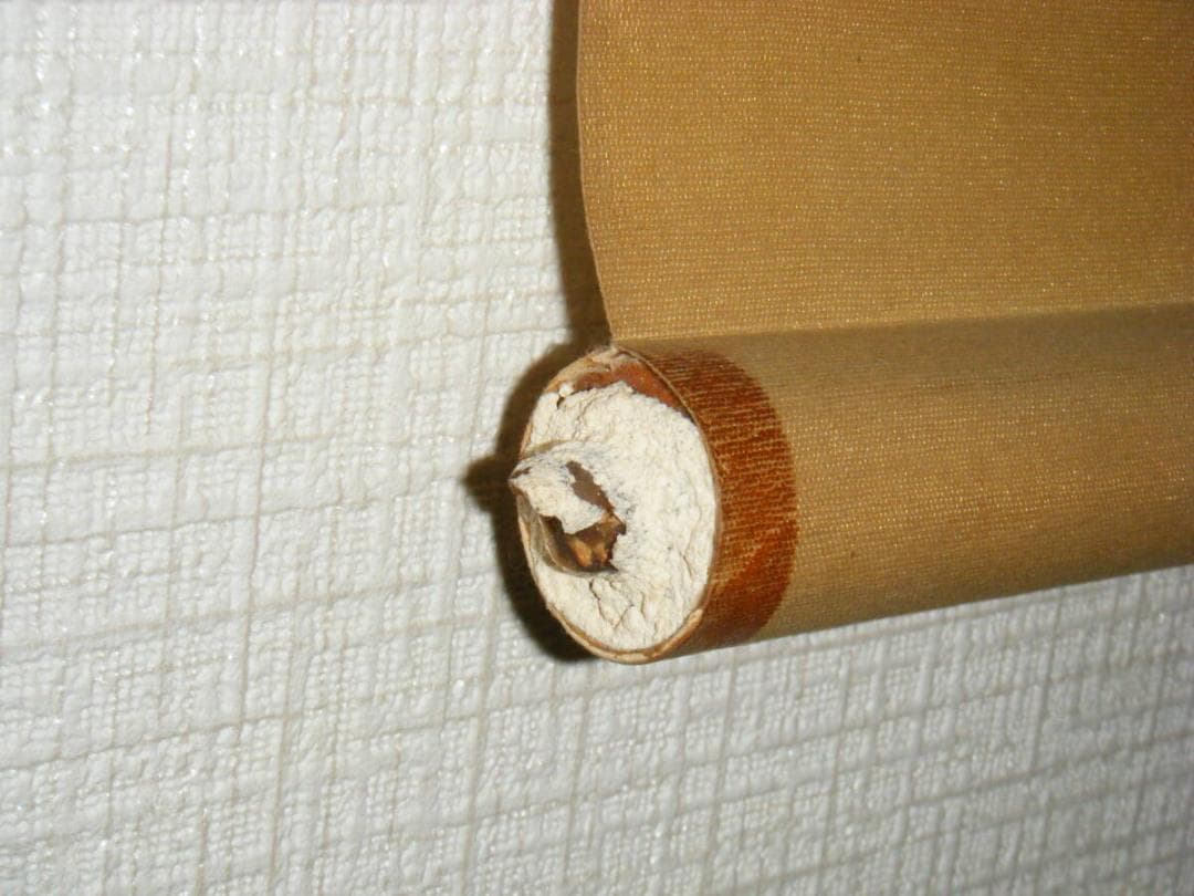 【真作】掛軸　勝海舟　二行書　幕末三舟の一人　O178