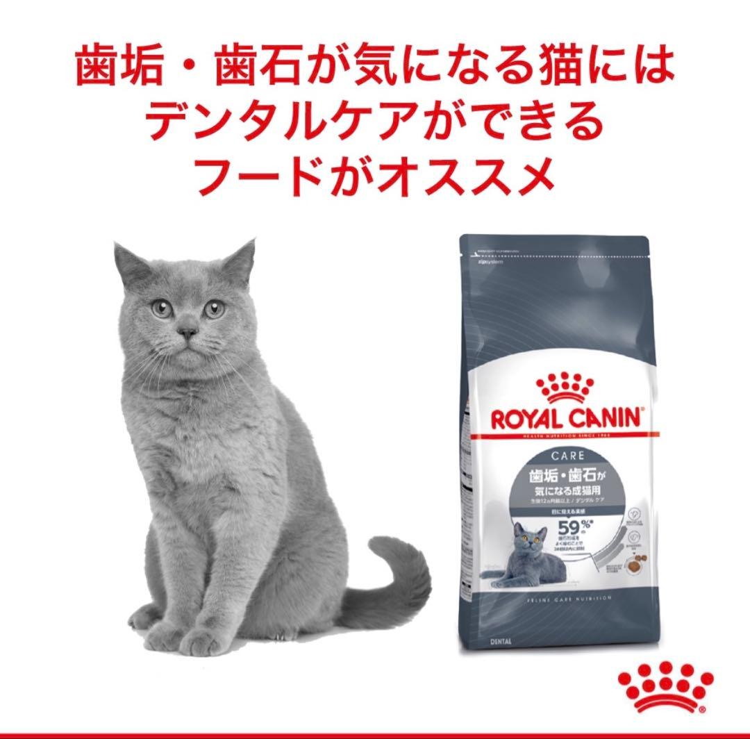 ロイヤルカナン FCN オーラルケア 猫用 1.5kg×3点セット