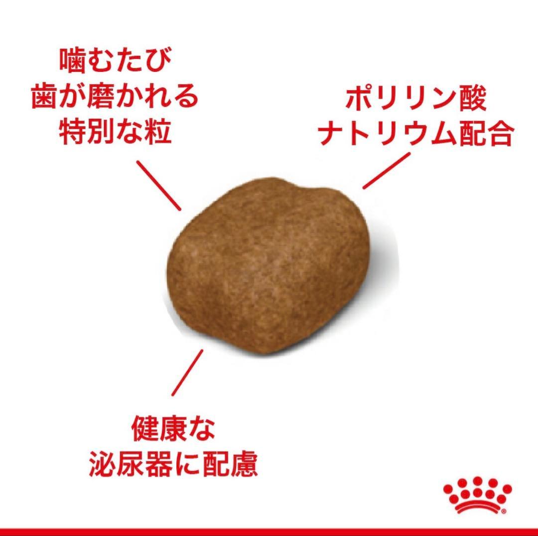 ロイヤルカナン FCN オーラルケア 猫用 1.5kg×3点セット