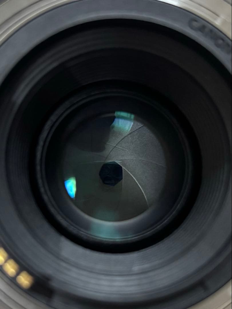 Canon EOS RP [ボディ] | Canon RFマウント　レンズセット