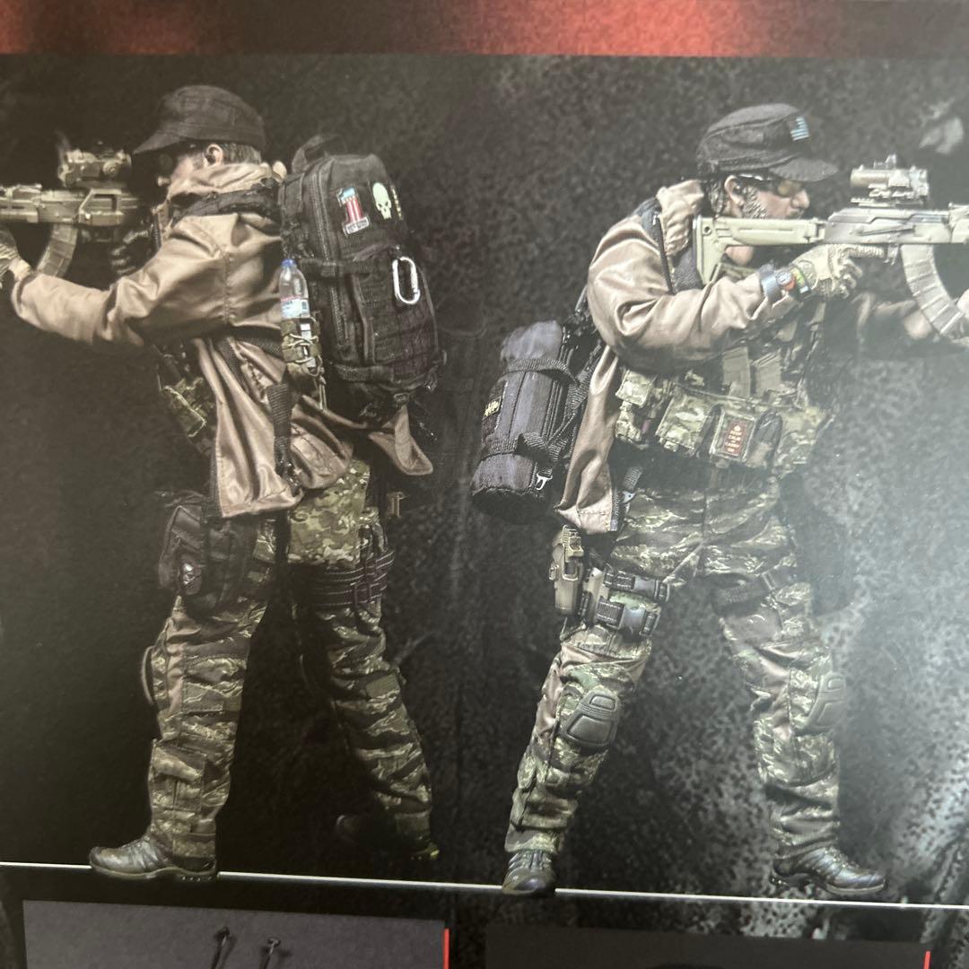 本日終了DAMTOYS 1/6 PMSCs Private Military