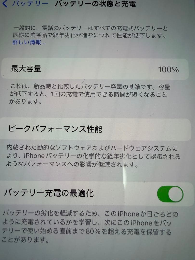 iPhone 13 Pro Max シエラブルー 2月8日まで専用中
