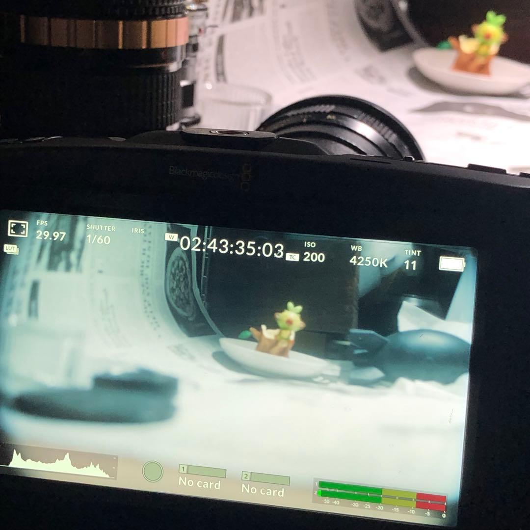 レア？作例有　シネマレンズ　Meteor 17-69mm f1.9 m42