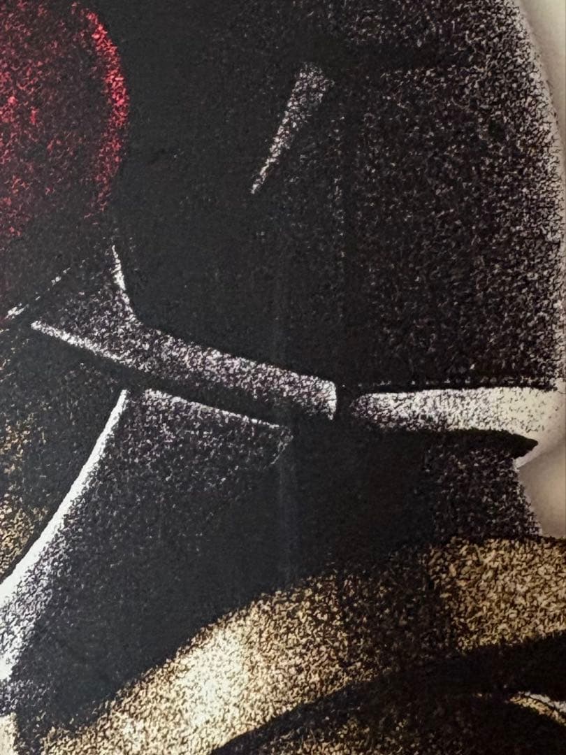 S.H.Figuarts 真骨彫　仮面ライダーアギト