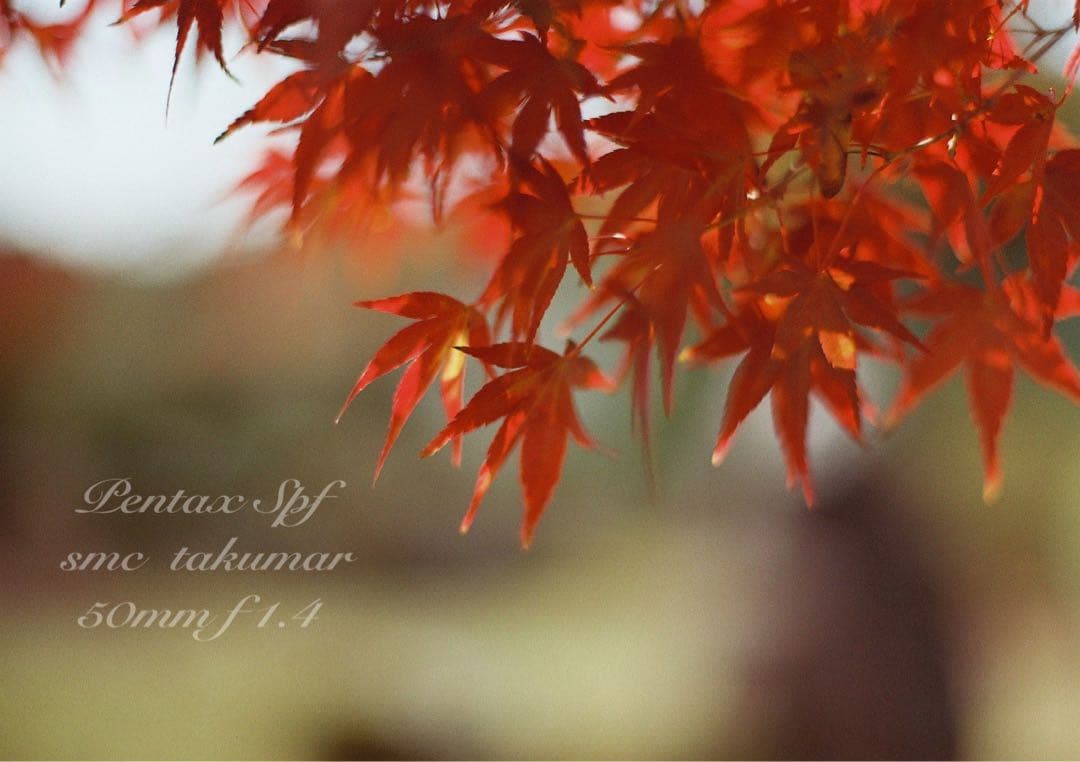 PENTAX SPF （BLACK）／smc f1.4★完動品＊美品＊初期保証付