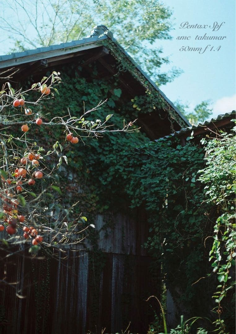 PENTAX SPF （BLACK）／smc f1.4★完動品＊美品＊初期保証付