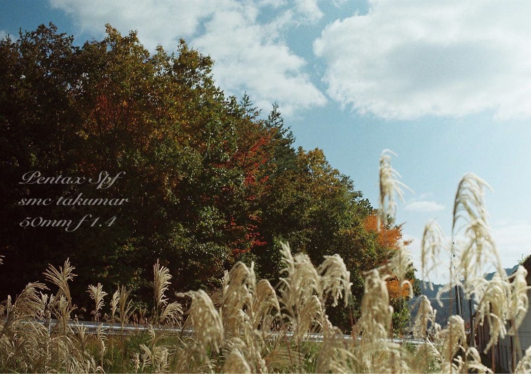 PENTAX SPF （BLACK）／smc f1.4★完動品＊美品＊初期保証付