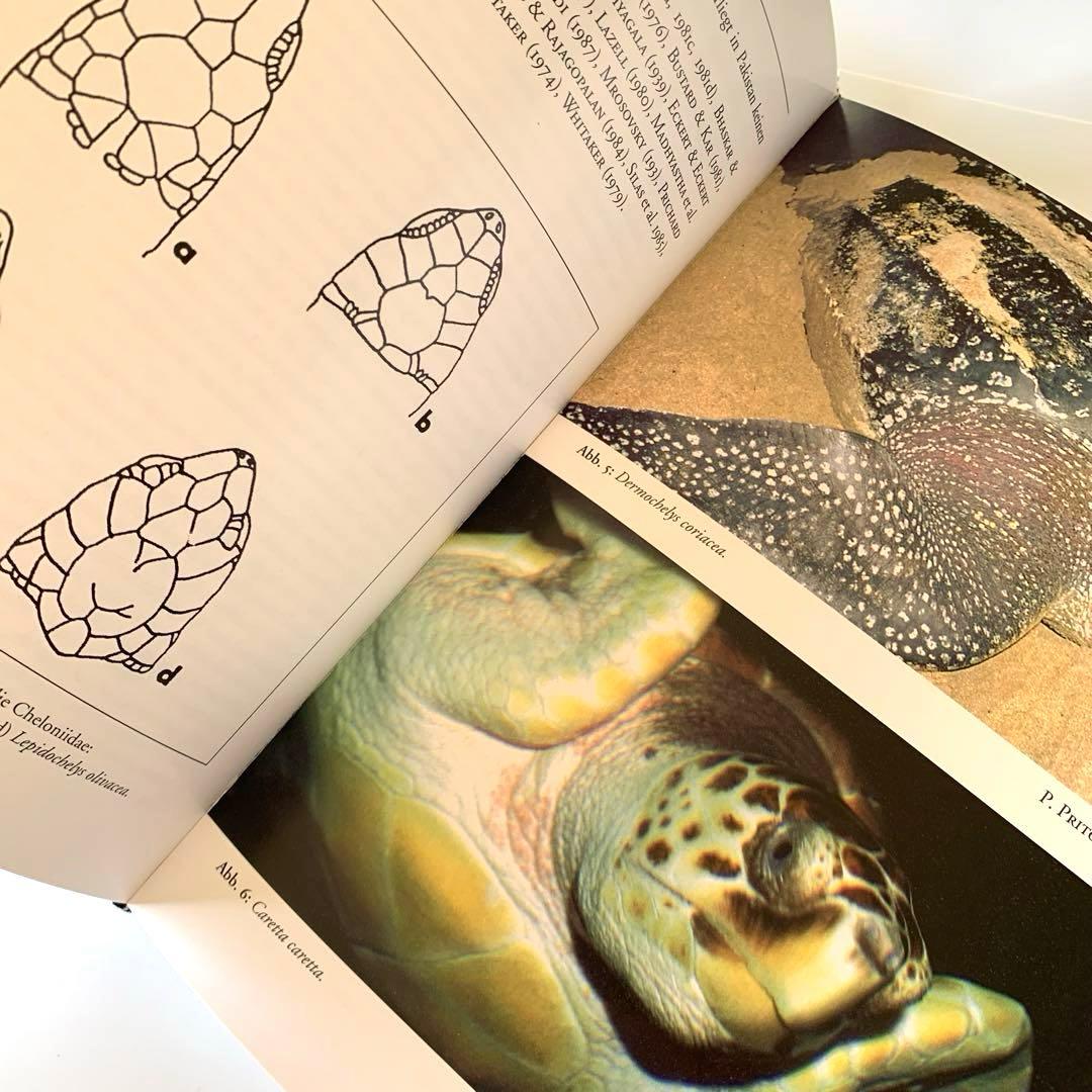 インド亜大陸のカメ　ドイツ語版　Die Schildkröten des‥