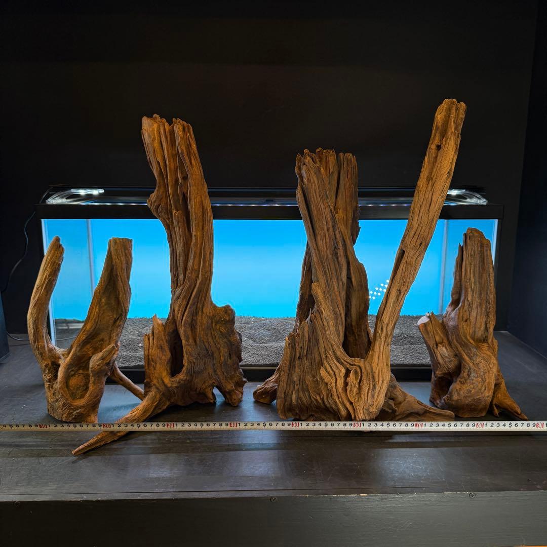 MRW-6798 赤系流木4本セット　90cm水槽用　切株　一点物　アクアリウム