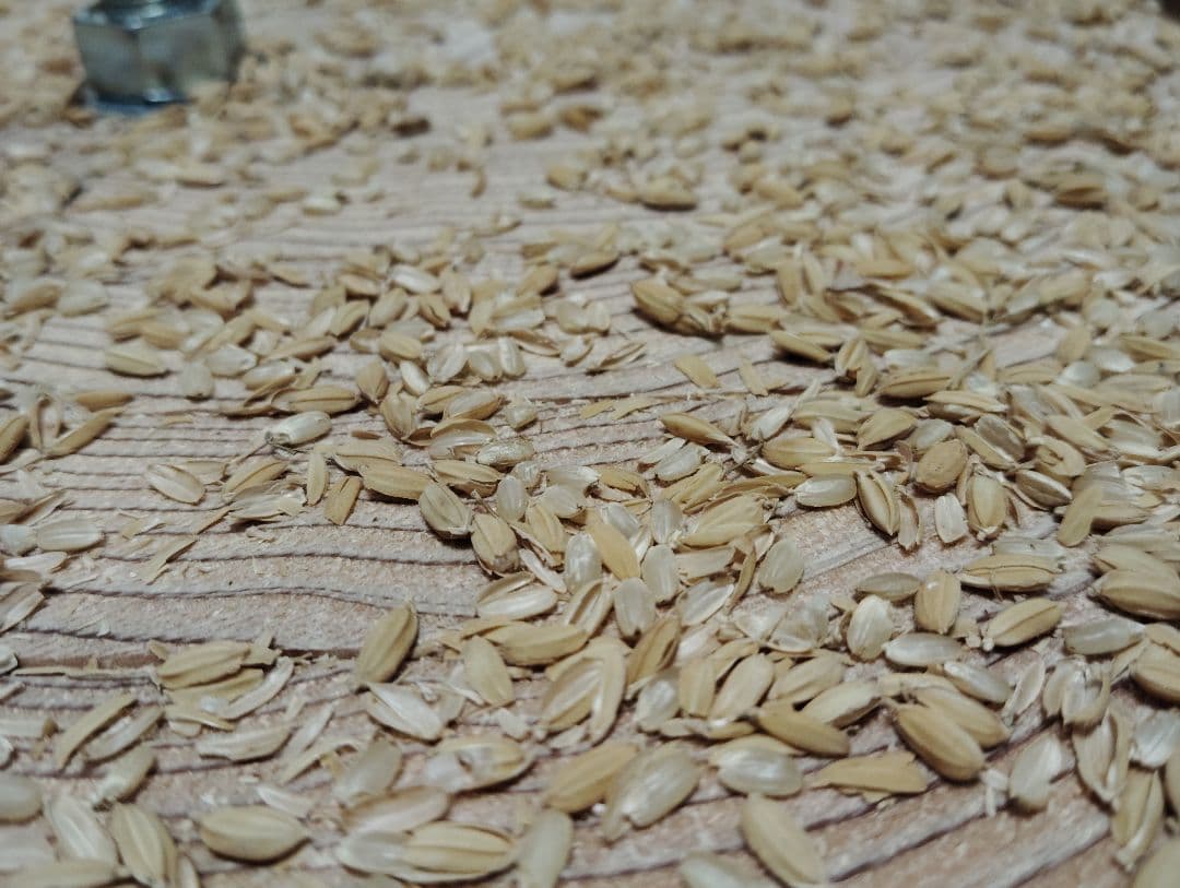 回転式籾擦り機(超大型)