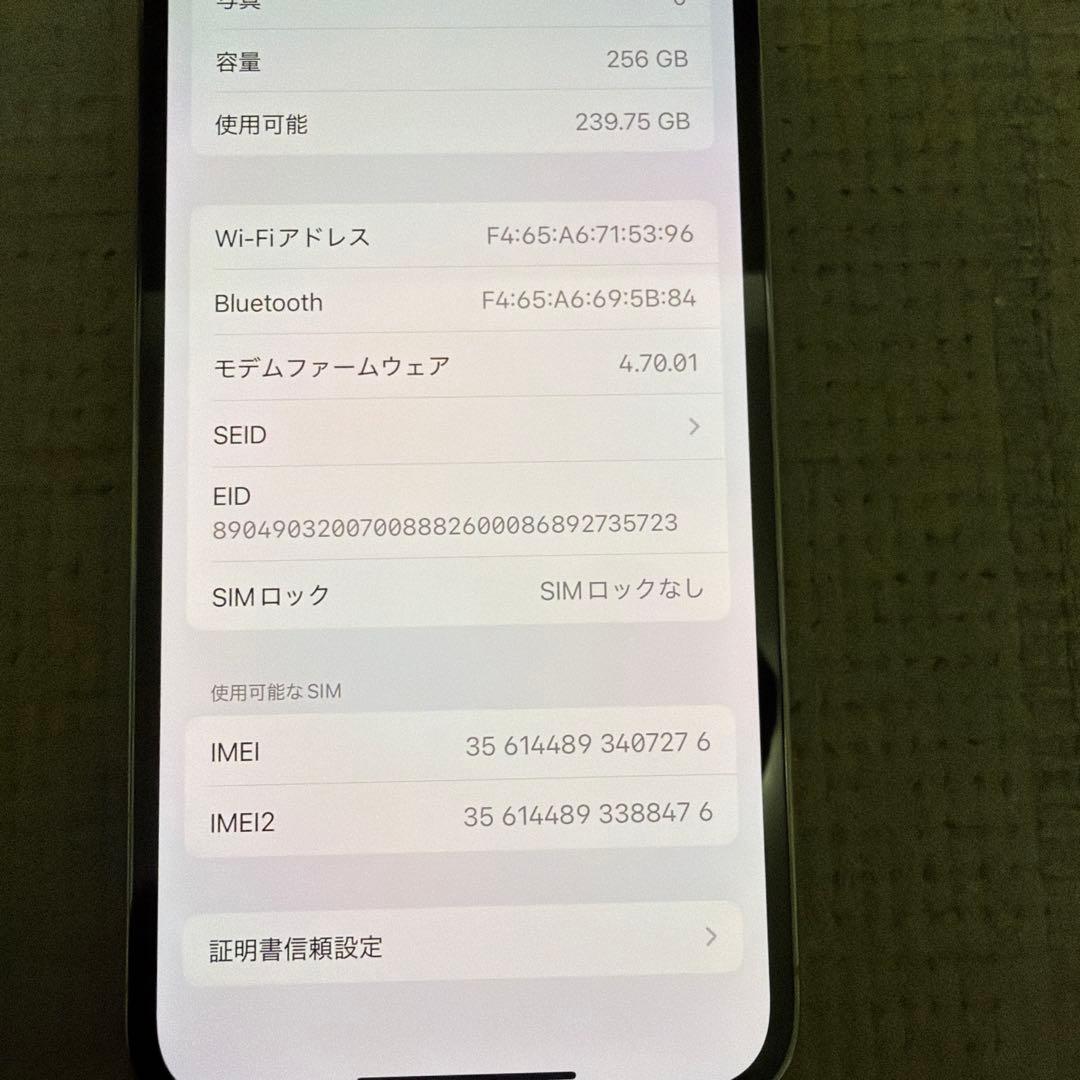 週末のみ【本体のみ】iPhone13pro 256g シエラブルー