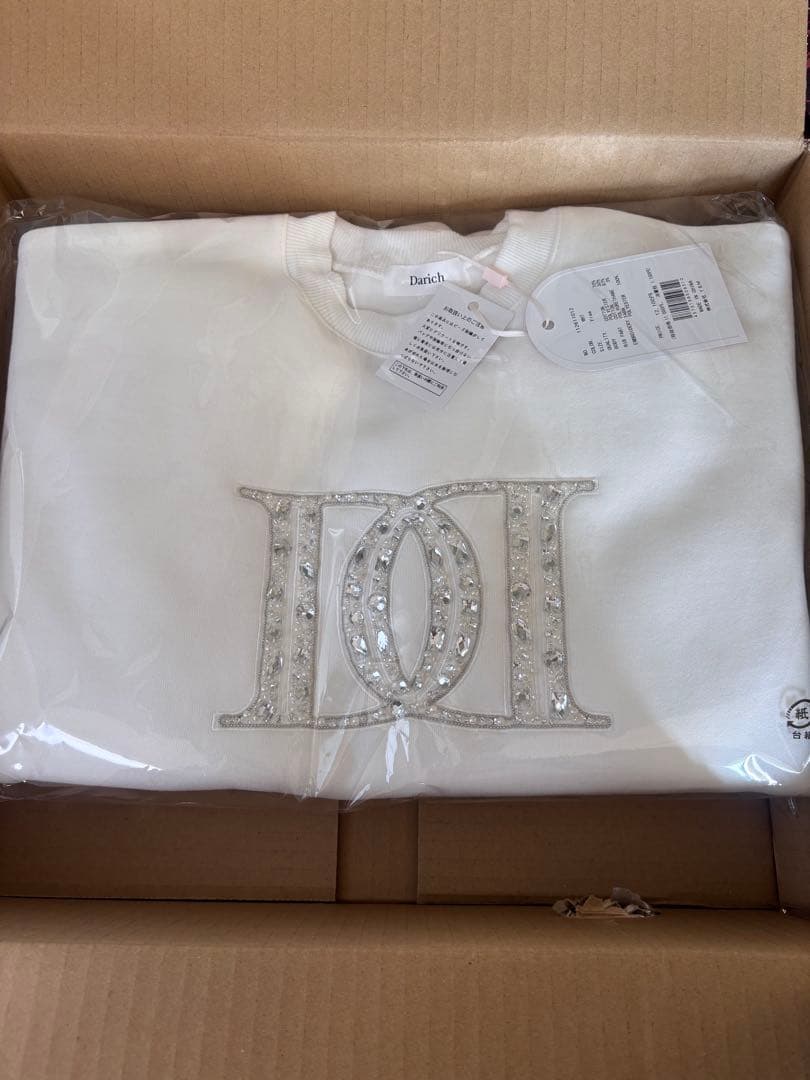 DDロゴビジュースウェットプルオーバー