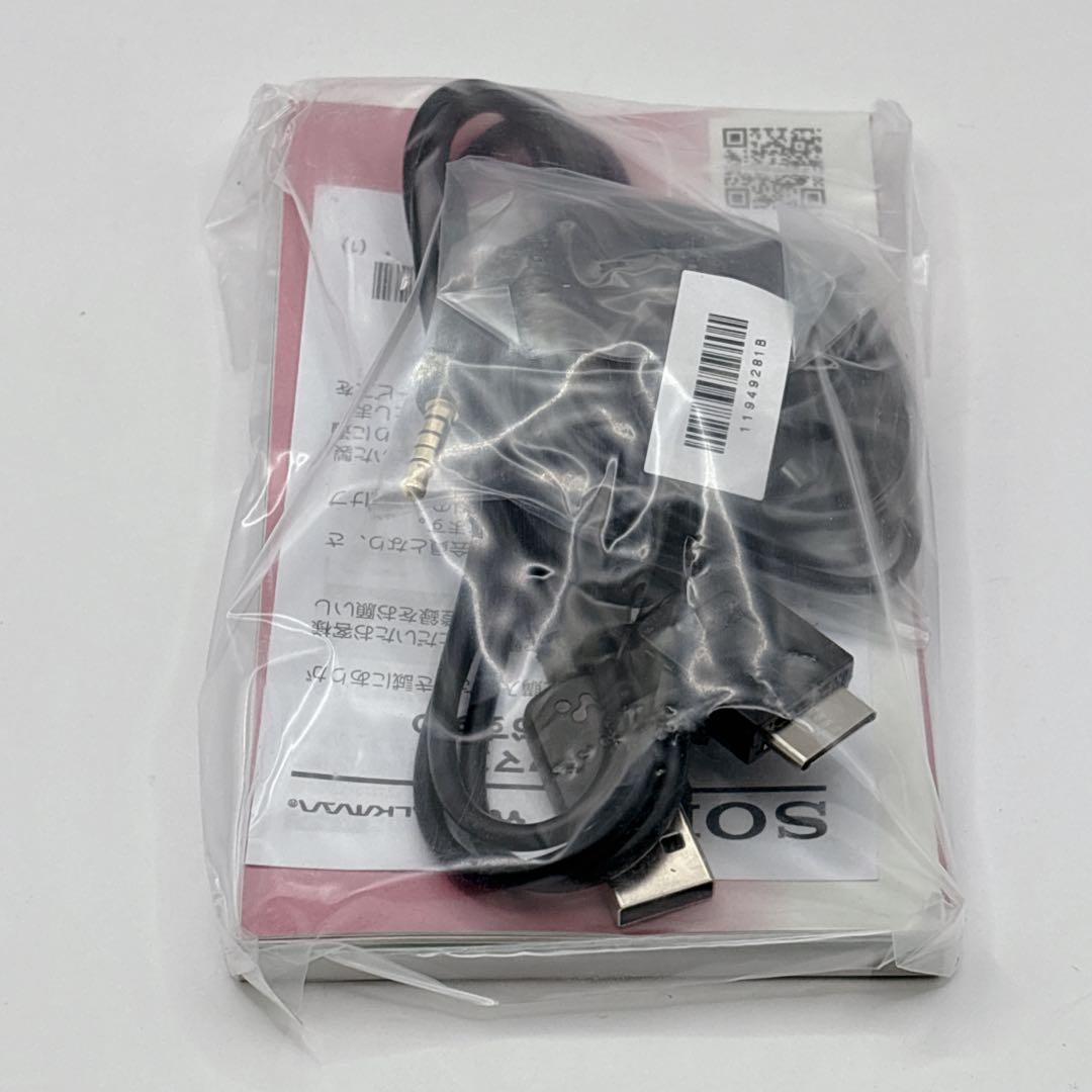 ✨未使用品✨SONY ウォークマン 赤 NW-E083 Y2K