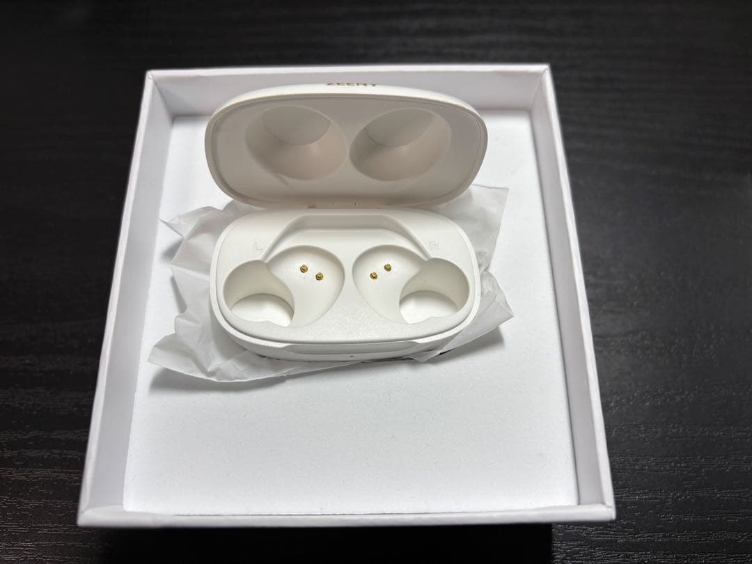 Zeeny D4DJ Lyrical Lily コラボ　モデル　イヤホン