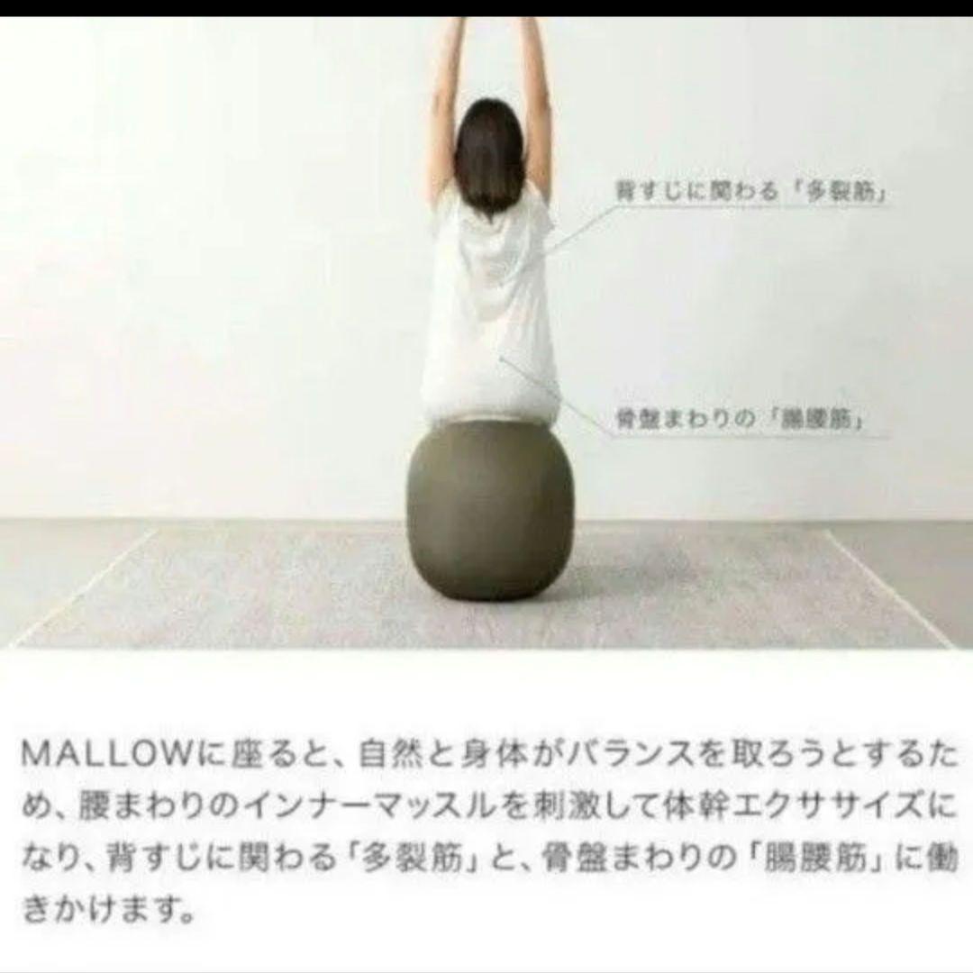 ＆MEDICAL MALLOW　バランスボール　ストレッチ　エクササイズ
