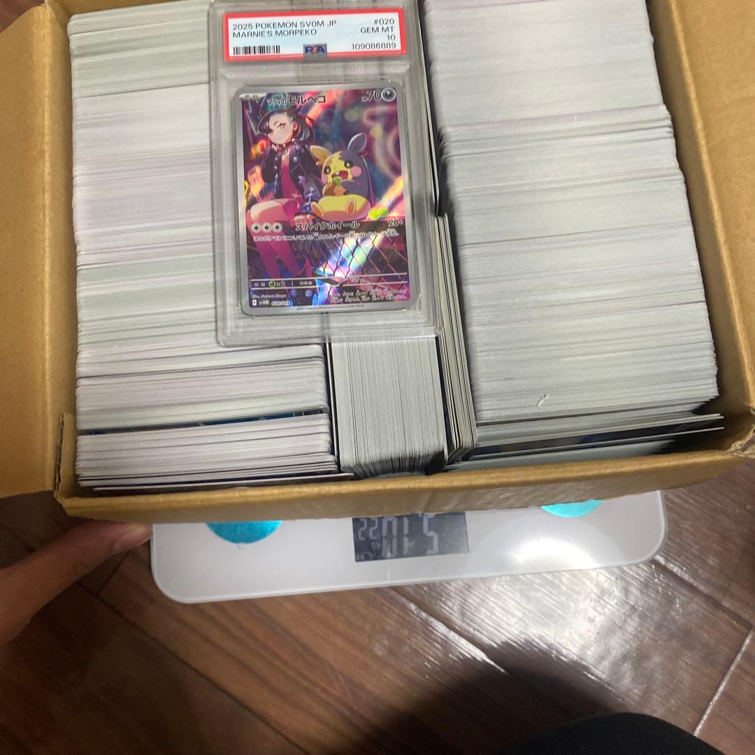 マリィのモルペコ psa10 やトレーディングカード5kg