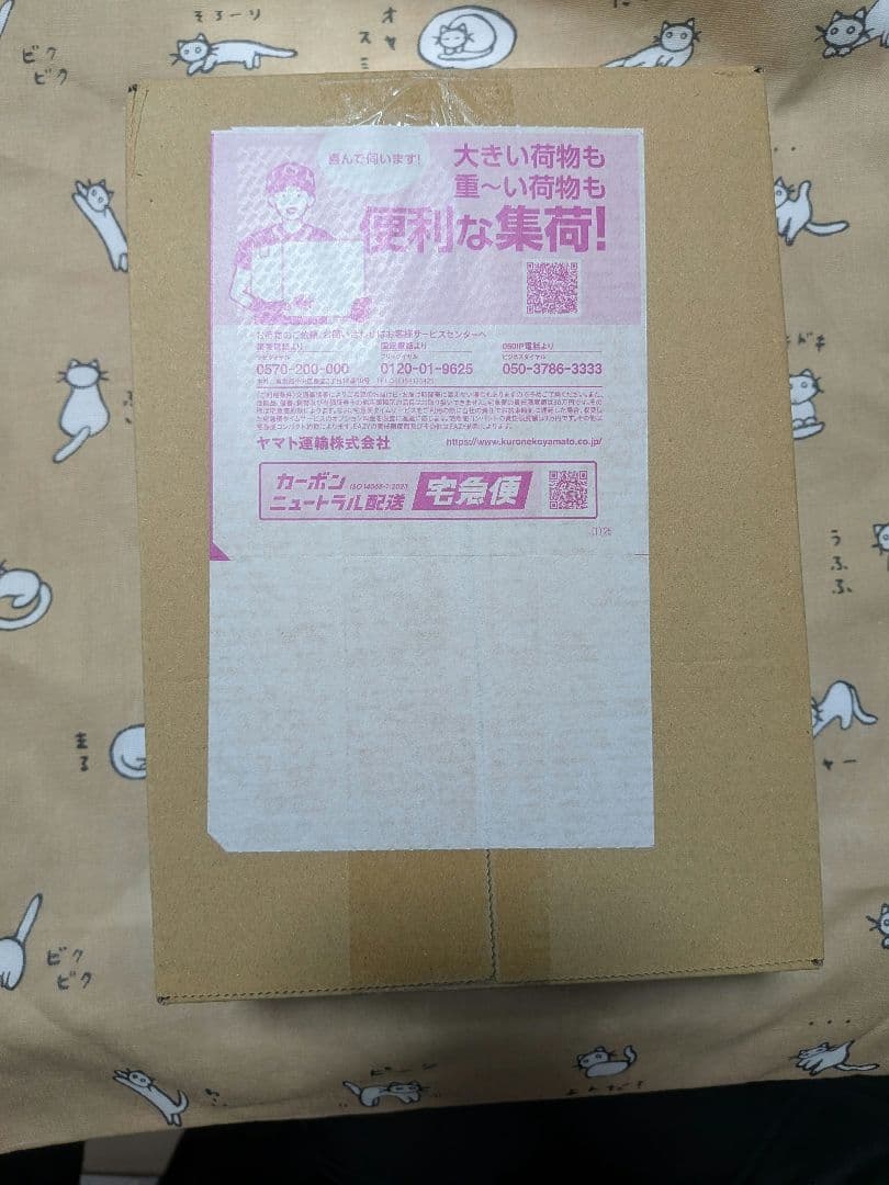 ポケセン産 ポケモンカード メガドリームex